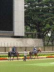 0604Schooling_3.jpg