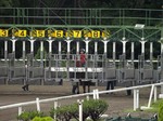 Armada0601.jpg
