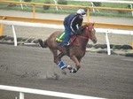 armada0530.jpg